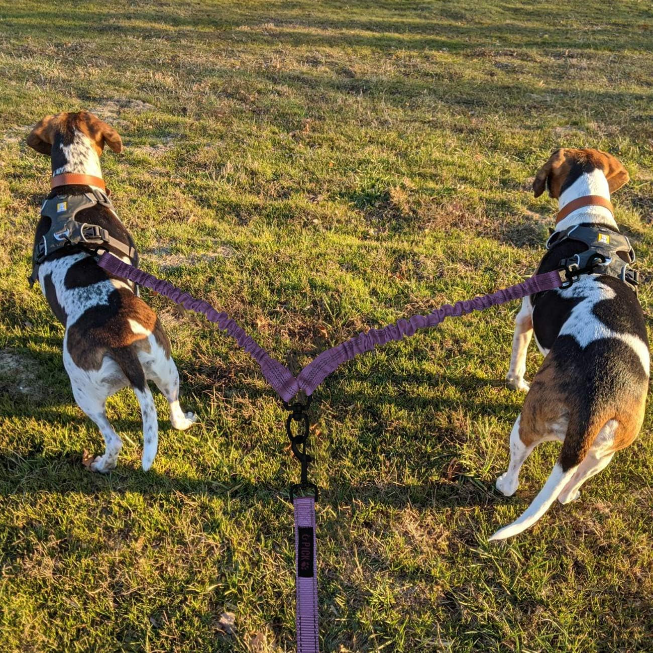 Dual Dog Leash,Double Dog Leash,Shock Absorbing Reflective Bungee for Two Dogs,Medium (6-35 Lbs)| Large (25-150 Lbs),360 Swivel No Tangle Walking Leash with Waste Bag Dispenser& Clicker