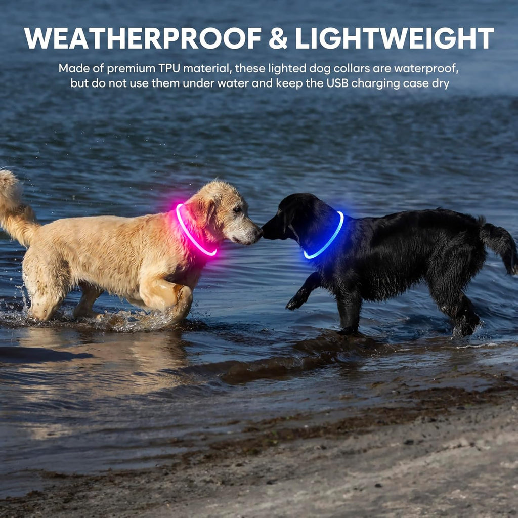 Light up Dog Collar - Waterproof LED Dog Collar Rechargeble, TPU Cuttable Glow in the Dark Safety Dog Lights for Night Walking(Blue)