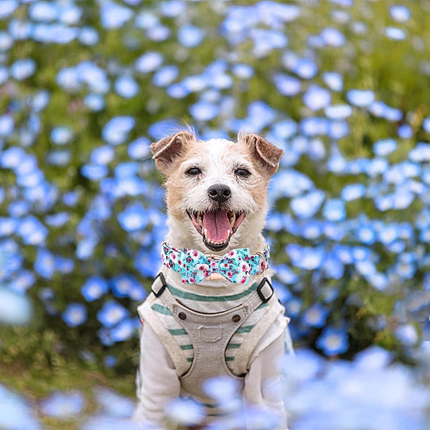 Dog Collar, Rose Print Pet Collar Summer Dog Collar Durable Metal Buckle Dog Collars Cotton Pet Adjustable Dog Collars for X-Small Dogs