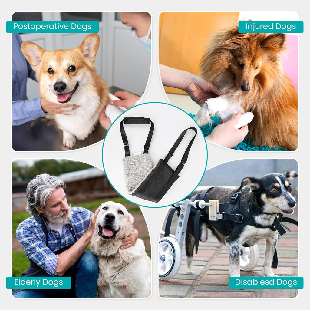 Small Dog Harness 20-140 Lbs Dog Sling for Hind Leg Support Dog Support Harness to Help Lift Hind Easy Walk Dog Harnesss Medium/Small Dogs up to 50/75/140Lbs, Grey